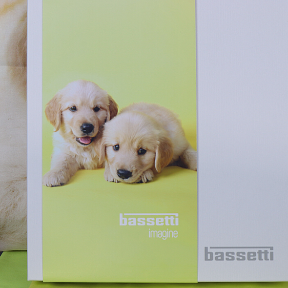 Completo lenzuola matrimoniale BFF Bassetti